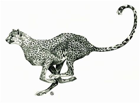 Download this running cheetah, run, cheetah, animal png clipart image with transparent background or psd file for free. Running Cheetah Drawing | Art, Paintings, Dance, Matador ...