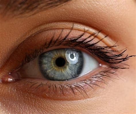 Top Nutrients That Promote Good Eye Health