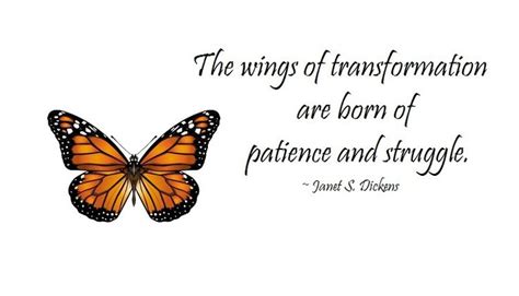 Butterfly Quotes Image Quotes At