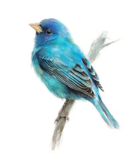 Indigo Bunting Giclee Print Of Watercolor Painting Bird Etsy Blue