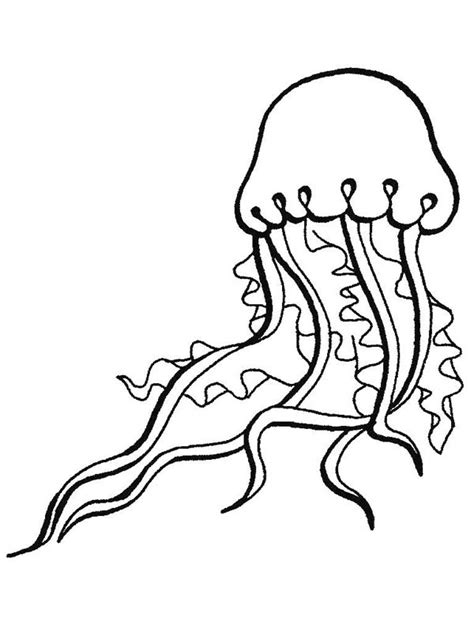 Never Touch A Jellyfish Sea Animals Coloring Page Download And Print