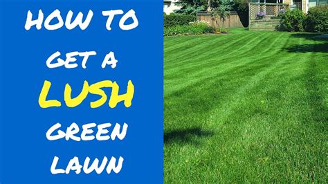 5 Tips To A Lush Green Lawn Youtube