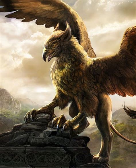 Gryphon Griffin A Magical Lionbird Guardian Of Sacred Arcane