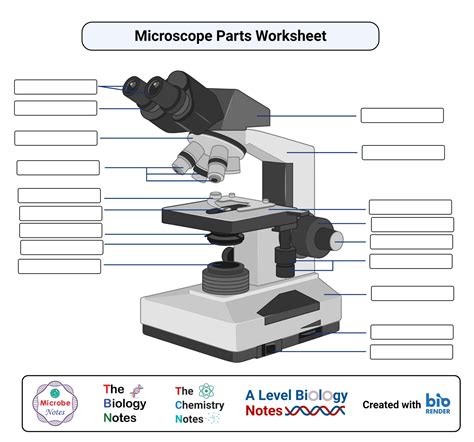 Microscope Parts And Use Worksheet Worksheets For Home Learning