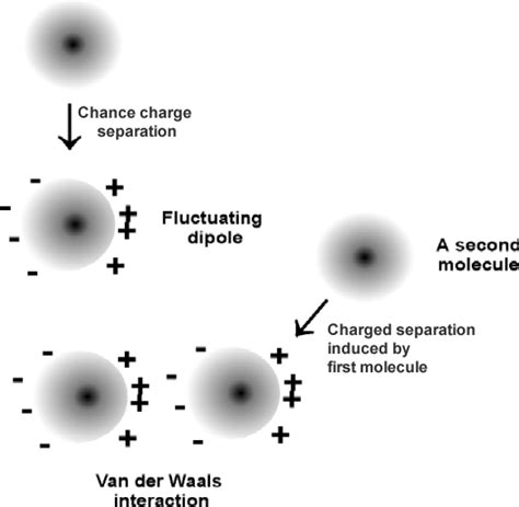 The strongest van der waals forces is the hydrogen bond. Chapter 2: Water- Non Covalent Bonds; Van Der Waals Forces ...