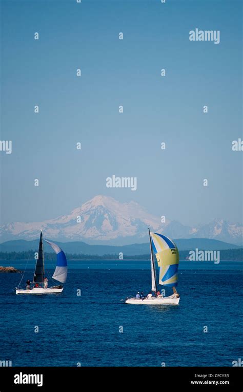 Sailboats With Spinnakers From Royal Victoria Yacht Club And Mt Baker