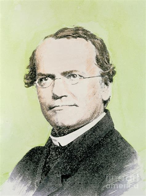 Gregor Mendel Photograph By Science Photo Library Fine Art America