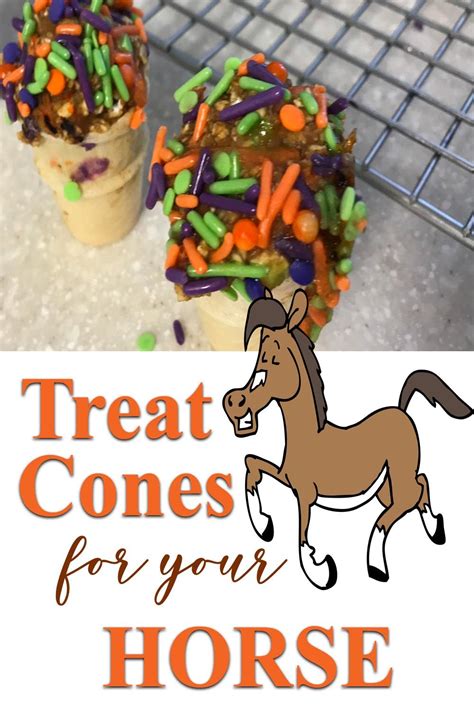 Diy Horse Treat Cones For A Tasty Surprise