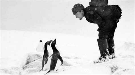 Antarktis Expedition Der Preis Ist Eis Zeit Online