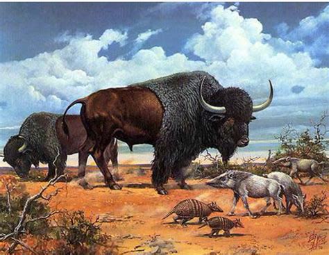 The Mad Zoology Nerd The Steppe Bison An Ghost Town Trails