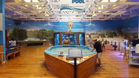 Marine Science Center In Ponce Inlet Florida Kid Friendly