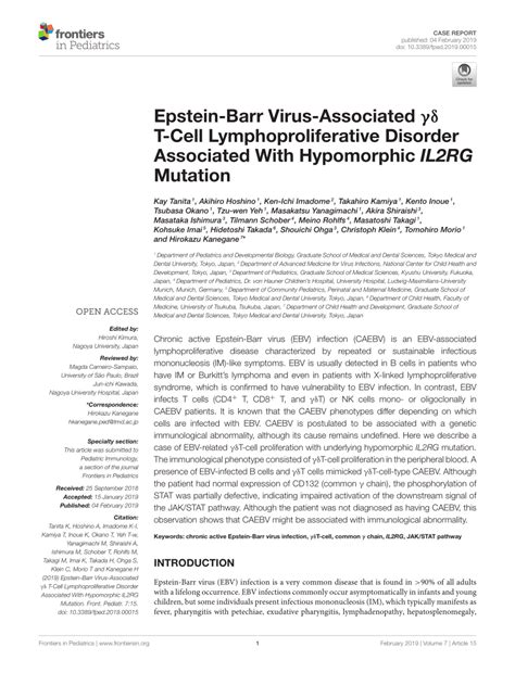 Pdf Epstein Barr Virus Associated γδ T Cell Lymphoproliferative