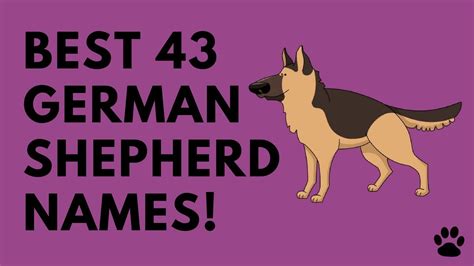 A Good Name For A German Shepherd Male Dog