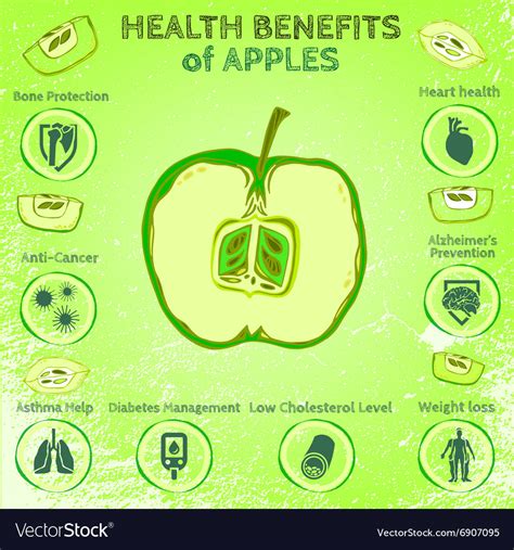 Apple Health Benefits Royalty Free Vector Image