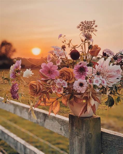 Our Top 20 Instagram Posts Of 2020 Flower Magazine
