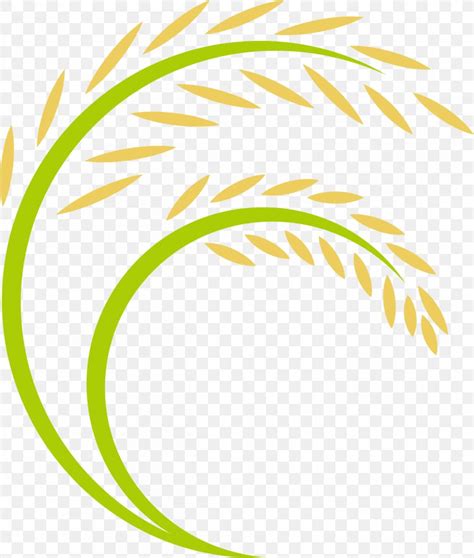 Rice Logo Png 1248x1472px Rice Android Area Caryopsis Ear