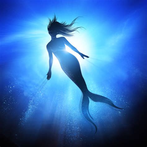 Sea Siren Stock Photos Pictures And Royalty Free Images Istock