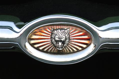 Jaguar Grille Emblem 2 Photograph By Jill Reger