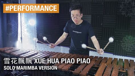 Xue Hua Piao Piao But Its On Marimba 一剪梅 Yi Jian Mei Youtube