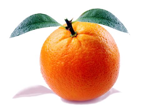 Sicilian Orange Free Stock Photo Public Domain Pictures