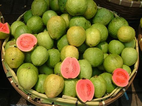 Well Watered Green L 49 Guava Fruit Plant For Fruits At Rs 70piece In