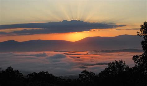 Shenandoah Morning Sunrise Fog Photograph By Lara Ellis