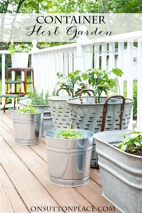 From fall container gardening to hanging container gardening and even indoor container gardening—we've got tons of container garden ideas for you. Easy Container Herb Garden with Strawberries & Tomatoes ...