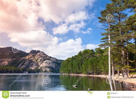 Landscape With Lake Pine Trees And Mountains Stock Photo