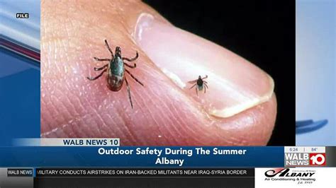 ‘snakes Mosquitoes And Ticks Oh My How To Be Safe Outdoors Against