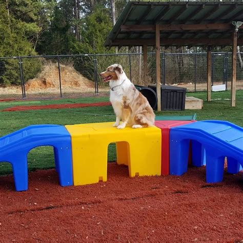 Puppy Playground Manufactures Dog Play Equipment And Games That