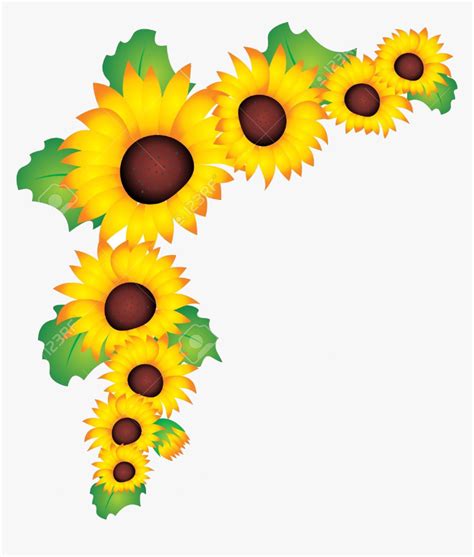 Sunflower Vector Clipart Pencil And In Color Transparent