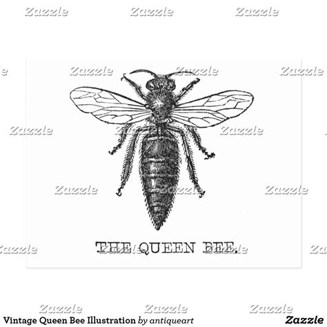 Bee Illustration Graphic Design Illustration Queen Bee Tattoo