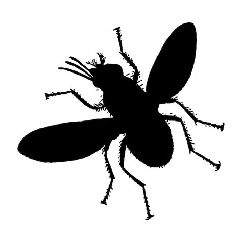 Premium Vector Vector Illustration Of Fly Silhouette