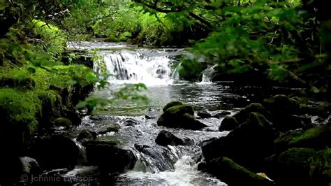 Study Babbling Brook Sounds Could Reduce Work Stress