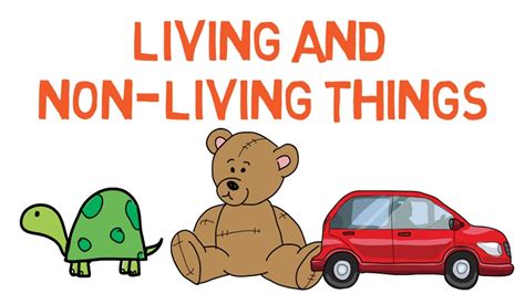 Living And Nonliving Things For Kids Difference Between Them Simply