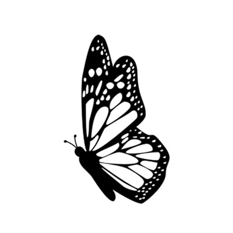 Butterfly Clipart Black And White Butterfly Outline