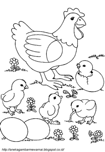 Kemudian buatlah sketsa kasar bentuk tubuh ayam betina seperti pada contoh gambar 1 di bawah ini. Gambar Mewarnai Ayam Untuk Anak PAUD dan TK | Buku ...