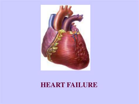 Ppt Heart Failure Powerpoint Presentation Free Download Id9561430