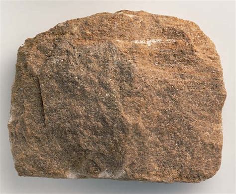 Batuan Sedimen Pengertian Jenis Contoh Dan Pembentukan