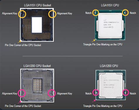 Le Socket Intel Lga 1200 Physiquement Différent Du Lga 1151