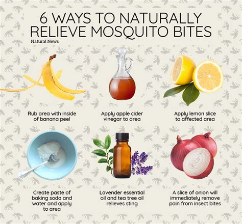 Six Ways To Naturally Relieve Mosquito Bites Remedies For Mosquito