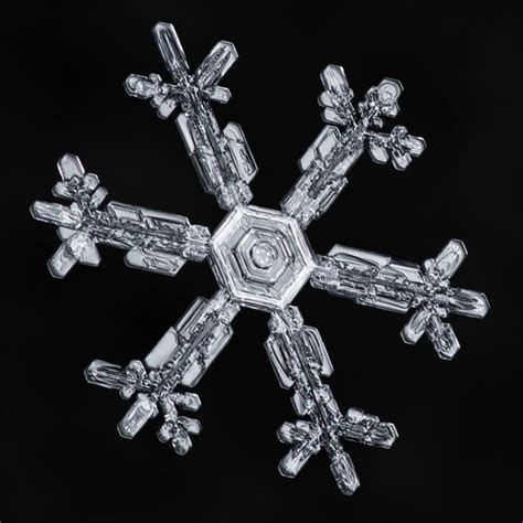 Snowflake A Day No 14 Heres An Unusual One You Dont Of Flickr