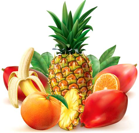 Juicy Tropical Fruit Vector Free Download