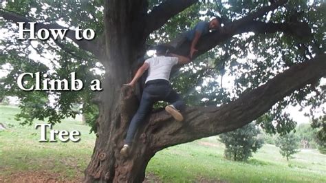 How To Climb A Tree Youtube