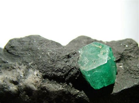 The first written use of emerald as a color name in english was in 1598. cerita cintun mimi: HIJAU ZAMRUD ATAU EMERALD GREEN - TEMA ...