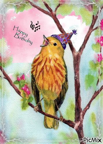 Happy Birthday Bird Pictures Photos And Images For Facebook Tumblr