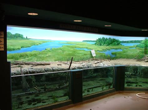 The Aquatics Environment Center At Buttonwood Park Zoo Ta Flickr