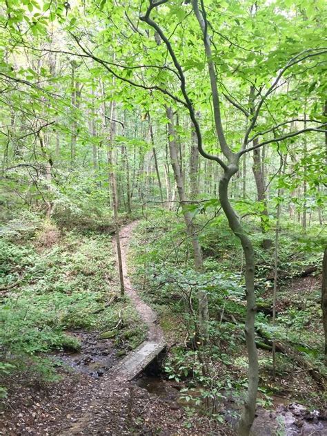 Damsite Trail 47 Miles In Indiana Pa At Yellow Creek State Park