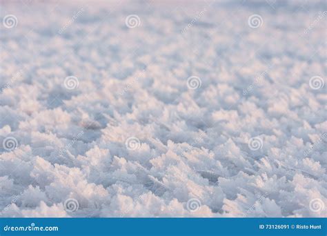 Large Snow Crystals Closeup Stock Image Image Of Shape Snow 73126091