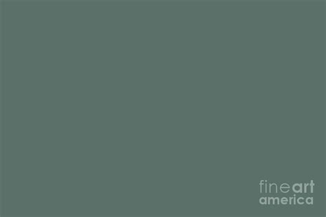 Dark Green Solid Color Behr 2021 Color Of The Year Accent Shade